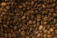Types of Chocolate: Exploring the Different Varieties
